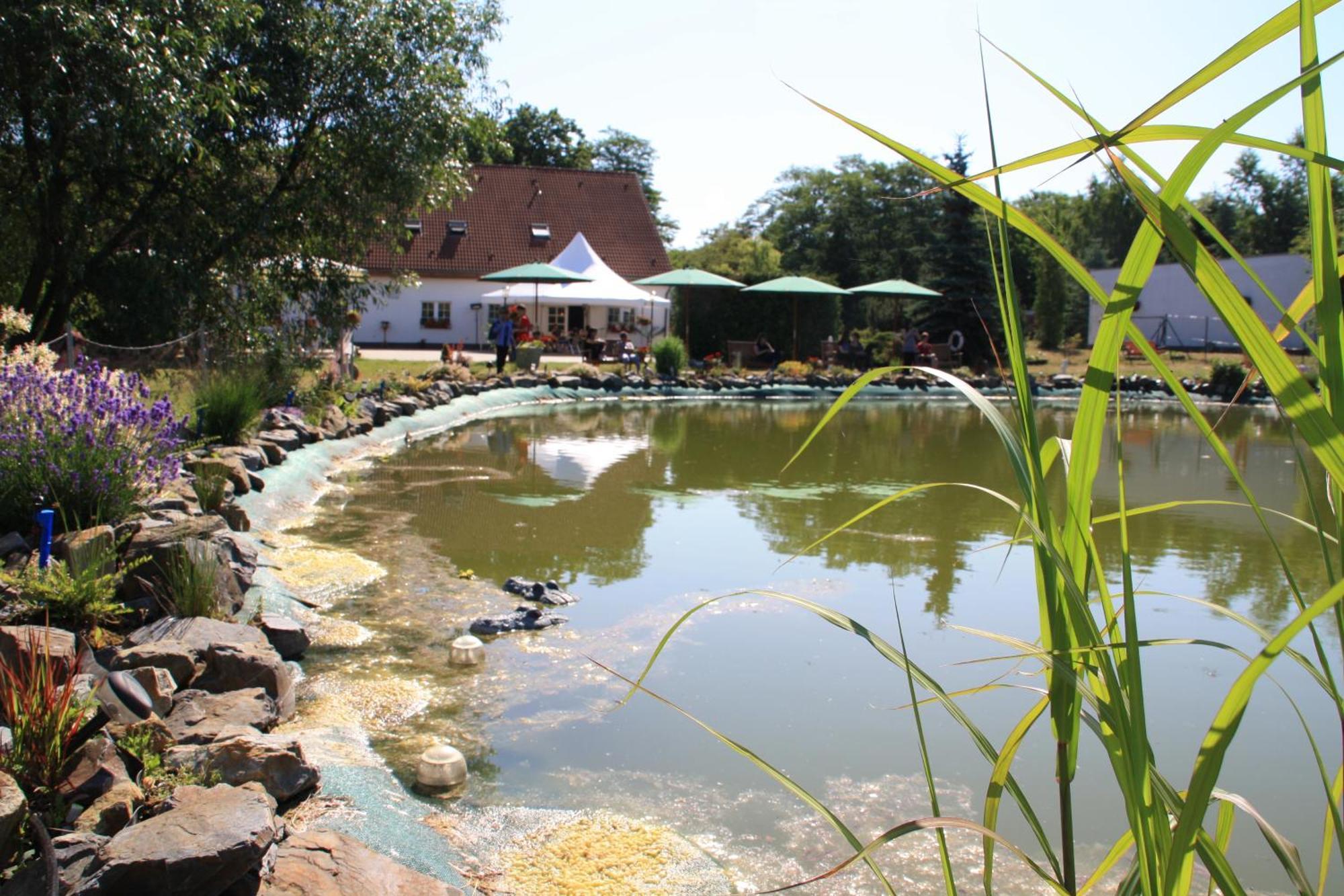 Hotel-Pension Am Muehlberg Lübbenau Buitenkant foto