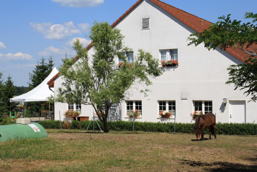 Hotel-Pension Am Muehlberg Lübbenau Kamer foto